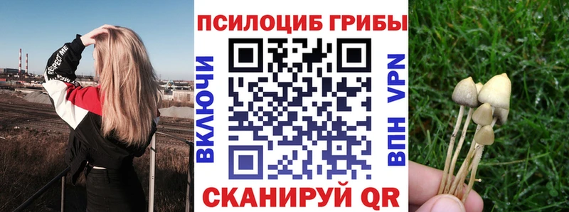 Галлюциногенные грибы прущие грибы  мориарти телеграм  Гурьевск 