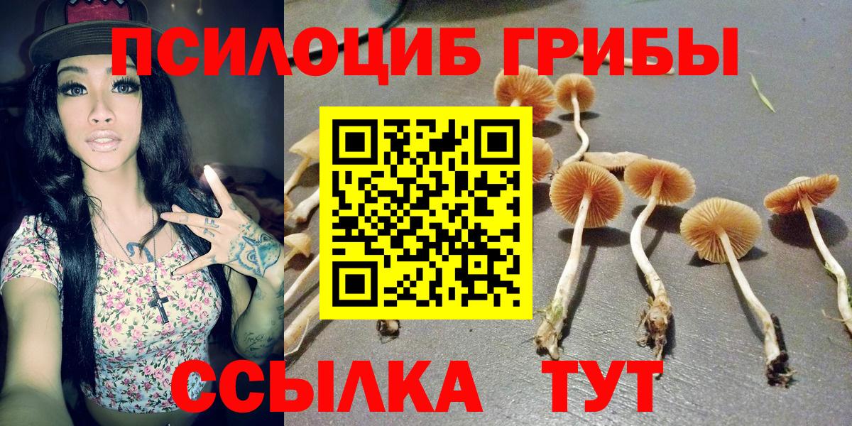 Галлюциногенные грибы MAGIC MUSHROOMS Гурьевск